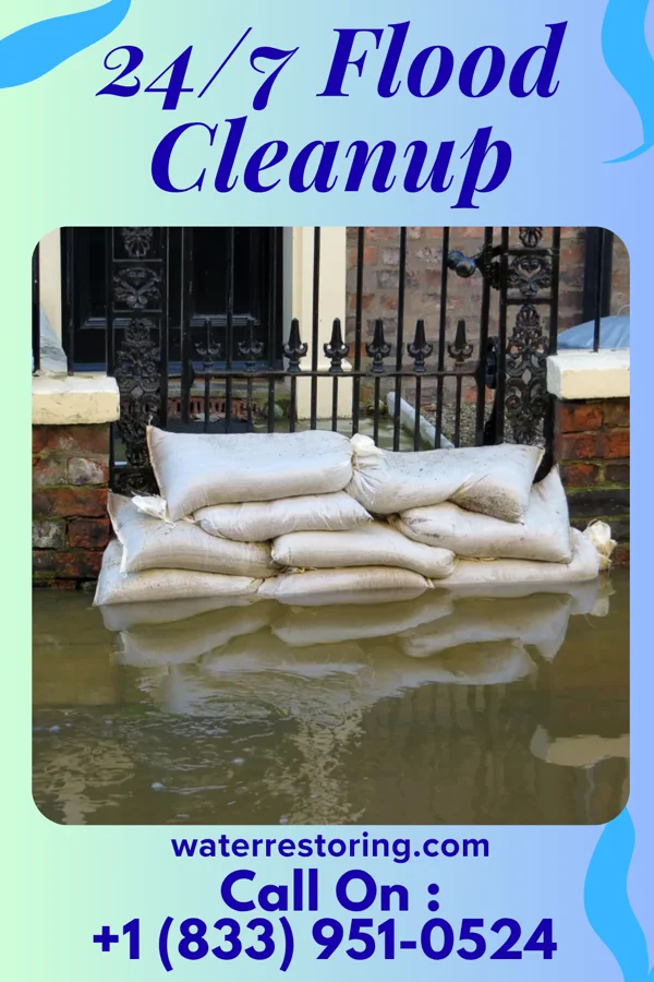 24/7 Flood Cleanup in Thynedale, VA