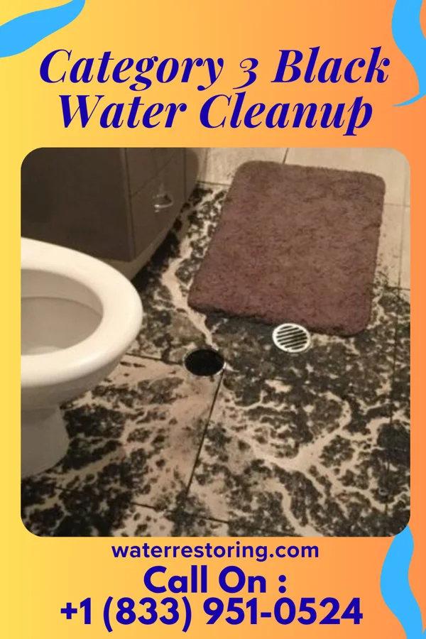 Category 3 Black Water Cleanup in Thynedale, VA