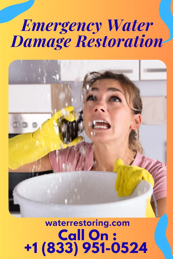 Emergency Water Damage Restoration in Thynedale, VA