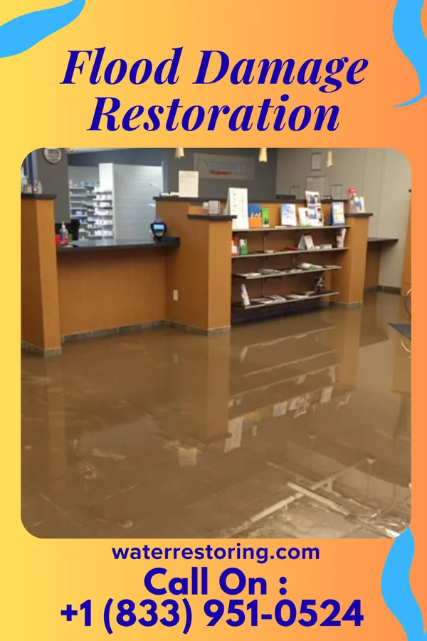 Flood Damage Restoration in Thynedale, VA