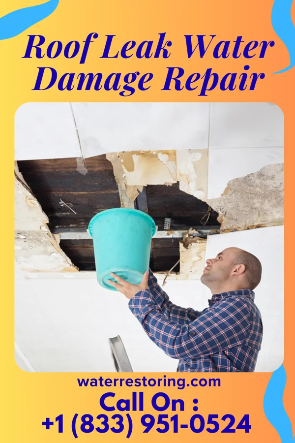 Roof Leak Water Damage Repair in Thynedale, VA