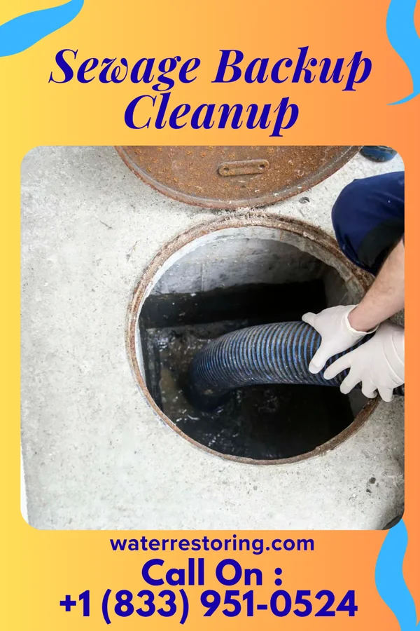 Sewage Backup Cleanup in Thynedale, VA