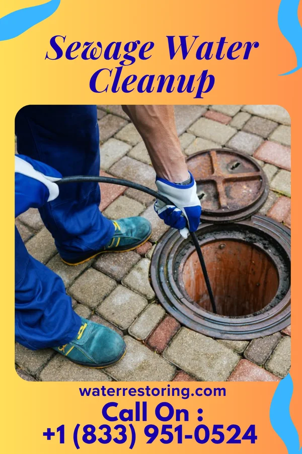 Sewage Water Cleanup in Thynedale, VA