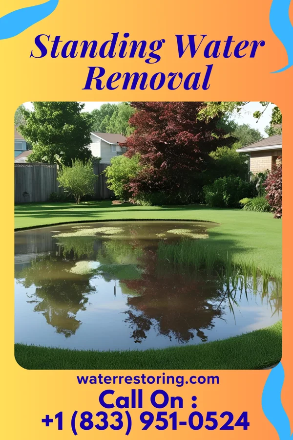 Standing Water Removal in Thynedale, VA